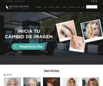 Silviagalvan.com(Galván) Screenshot