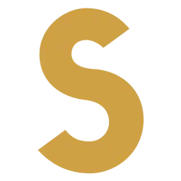 Simple-Net.ch Logo