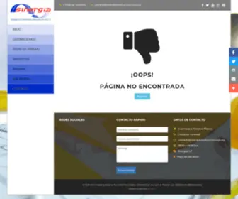 Sinergiaconstruccion.com.mx(Sinergia en Construcción y Proyectos S.A) Screenshot