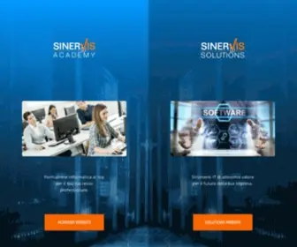 Sinervis.com(Web & training agency) Screenshot
