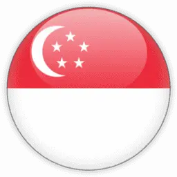 Singaporenotarypublic.sg Logo