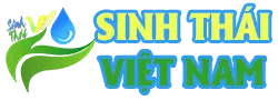 Sinhthaivietnam.com Favicon