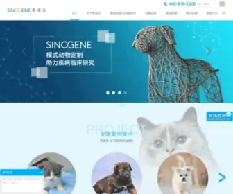 Sinogene.com.cn(宠物克隆) Screenshot