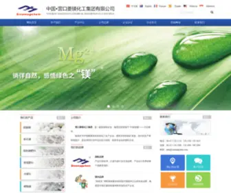 Sinomagchem.com(营口菱镁化工集团有限公司) Screenshot