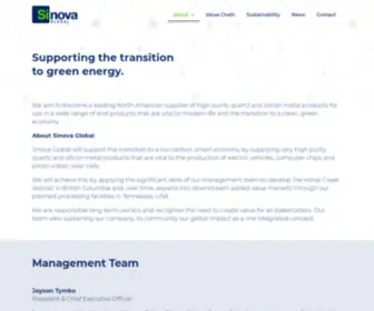 SinovaGlobal.com(Sinova Global) Screenshot