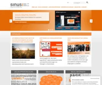 Sinus-Institut.de(Sinus Institut) Screenshot