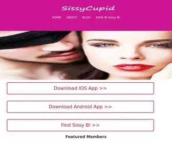 Sissycupid.com(庆阳俳驳装饰工程有限公司) Screenshot