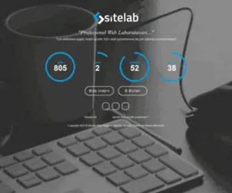 Sitelab.com.tr(Profesyonel Web Laboratuvarı) Screenshot