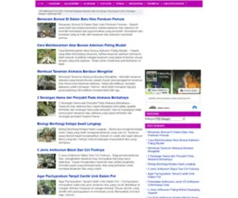 Situsbunga.com(Informasi mengenai Tanaman Hias Dan Bunga) Screenshot