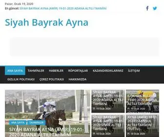 Siyahbayrakayna.com(Siyah Bayrak) Screenshot