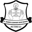 SJcjethuli.in Favicon