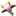 Sjwelcomespins.com Favicon