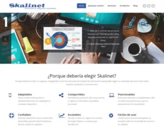 Skalinet.com(Soluciones de Posicionamiento Web) Screenshot