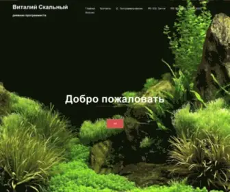 Skalnyy.com(Виталий Скальный) Screenshot