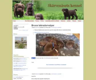 Skarvenaset.com(国产在线高清理伦片a) Screenshot