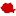 Skatemap.ro Favicon