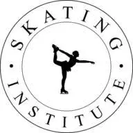 Skatinginstitute.eu Favicon