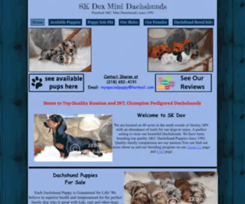 Skdox.com(Dachshund Puppies For Sale) Screenshot
