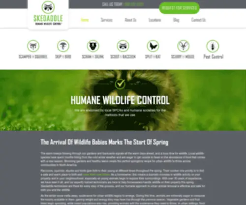 Skedaddlewildlife.com(Skedaddle Humane Wildlife Control) Screenshot