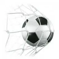 Skelbsim.lt Favicon