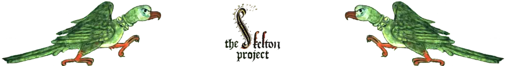 Skeltonproject.org Favicon