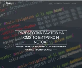 Skepto.ru(разработка сайтов) Screenshot