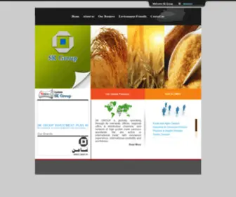 SKGRP.com(Sk-group) Screenshot