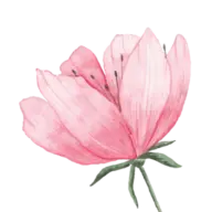 Skicka-Blommor-Billigt.se Favicon