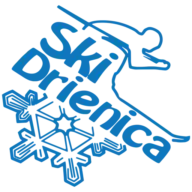 Skidrienica.sk Logo
