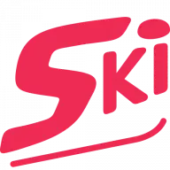 Skinachrichten.de Logo