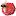 Skinnedknees.net Favicon