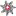 Skischule-Hasliberg.ch Favicon