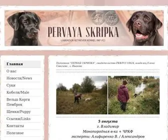 Sklabrador.net(Первая Скрипка) Screenshot