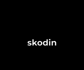 Skodin.com(Ingénierie Informatique) Screenshot