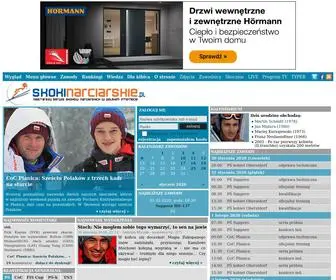 Skokinarciarskie.pl(Skoki narciarskie) Screenshot