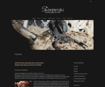 Skorpinski.de(Skorpinski) Screenshot