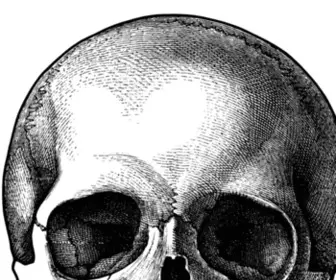 Skull.com(Skull) Screenshot