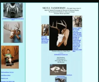 Skulltaxidermy.com(Skull taxidermy) Screenshot