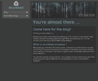 Skunkbad.com(Brian's Web Design) Screenshot