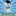 Skuolasprint.it Favicon