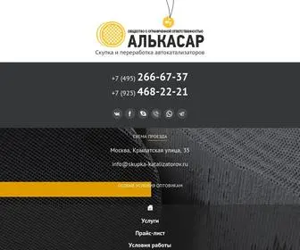Skupka-Katalizatorov.ru(Скупка катализаторов в Skupka) Screenshot