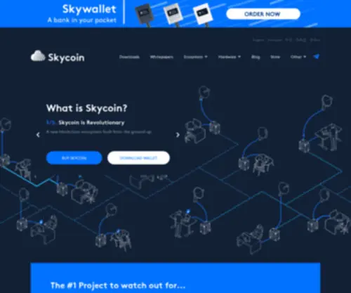 SKycoin.net(Decentralize the Web) Screenshot