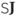 SKyjoud.com Logo