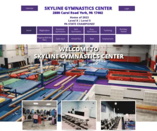 SKylinegym.com(Skyline Gymnastics) Screenshot