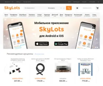 SKylots.org(Аукцион) Screenshot