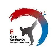 SKytaekwondo.ca Favicon