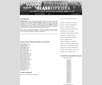 Slask-Wroclaw.pl(Slask Wroclaw) Screenshot