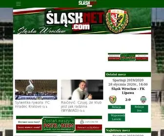 Slasknet.com(Śląsknet) Screenshot