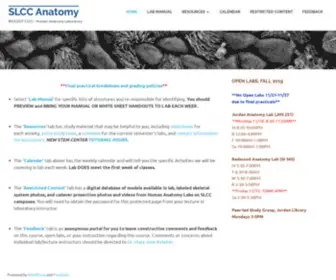 SLccanatomy.com(SLCC Anatomy) Screenshot