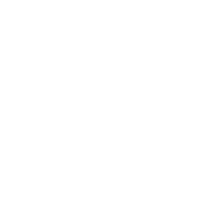 Sledsicamous.com Favicon